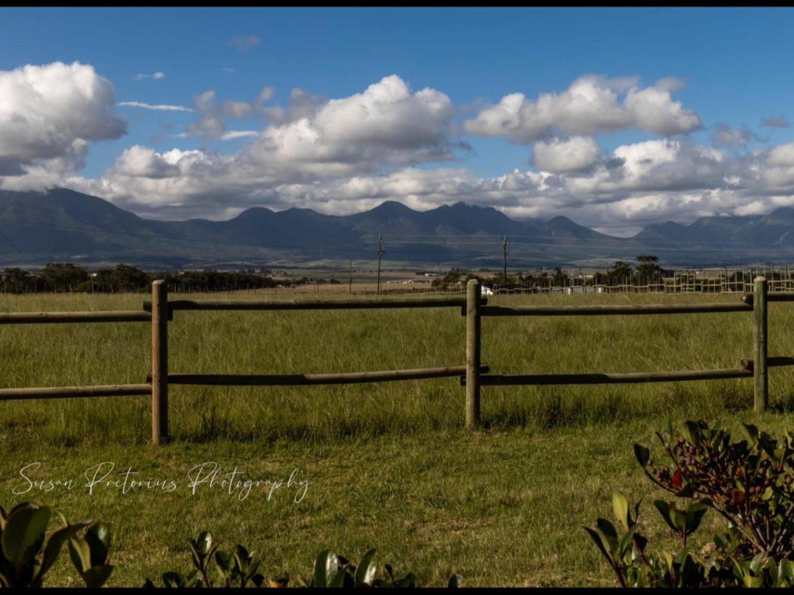 Dunkes Organic Equestrian Estate Apartamento George Exterior foto