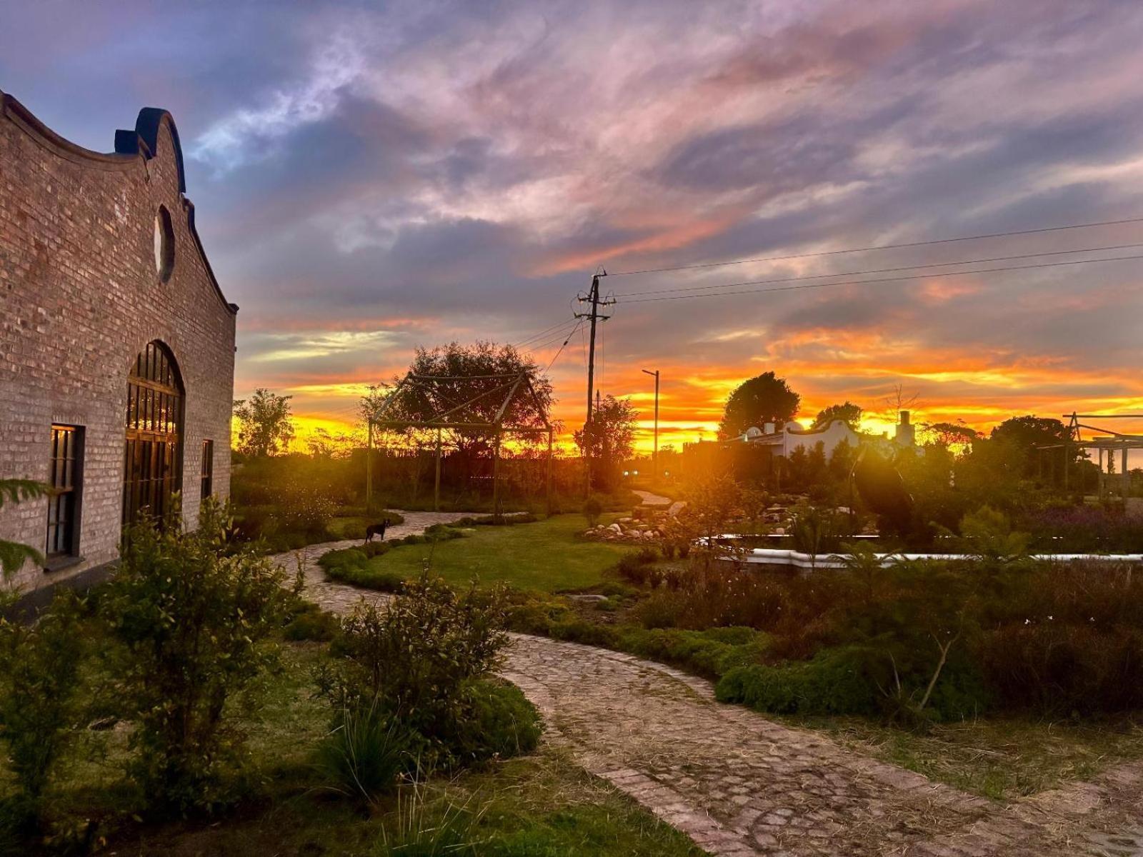 Dunkes Organic Equestrian Estate Apartamento George Exterior foto