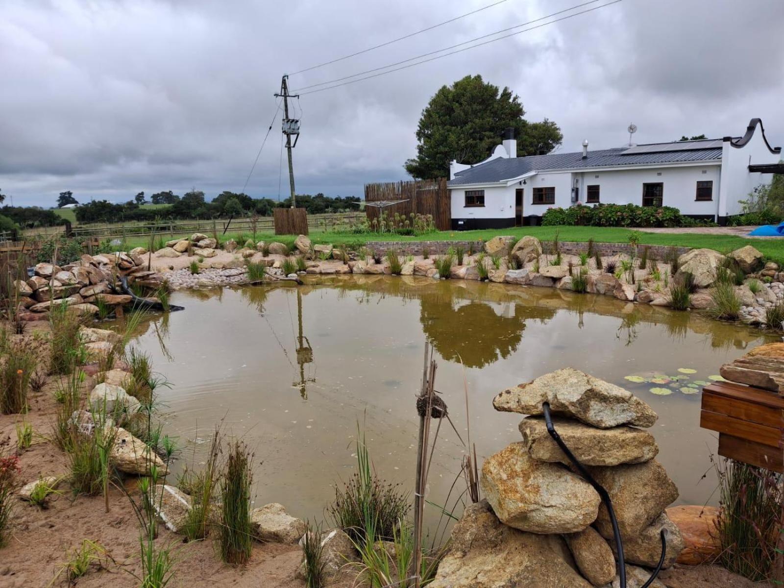 Dunkes Organic Equestrian Estate Apartamento George Quarto foto